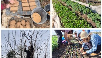 WhatsApp Image 2025-09-11 at 06.05.26