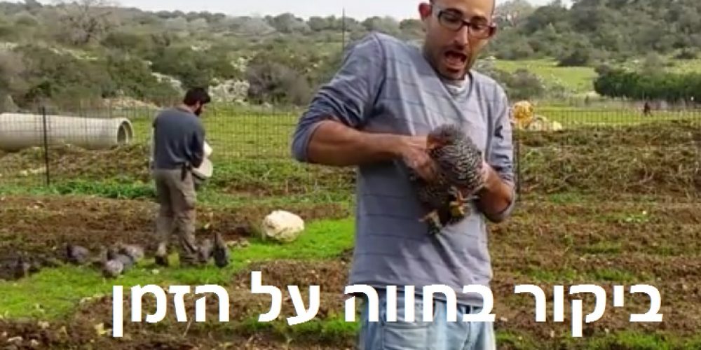 ביקור בחווה על הזמן