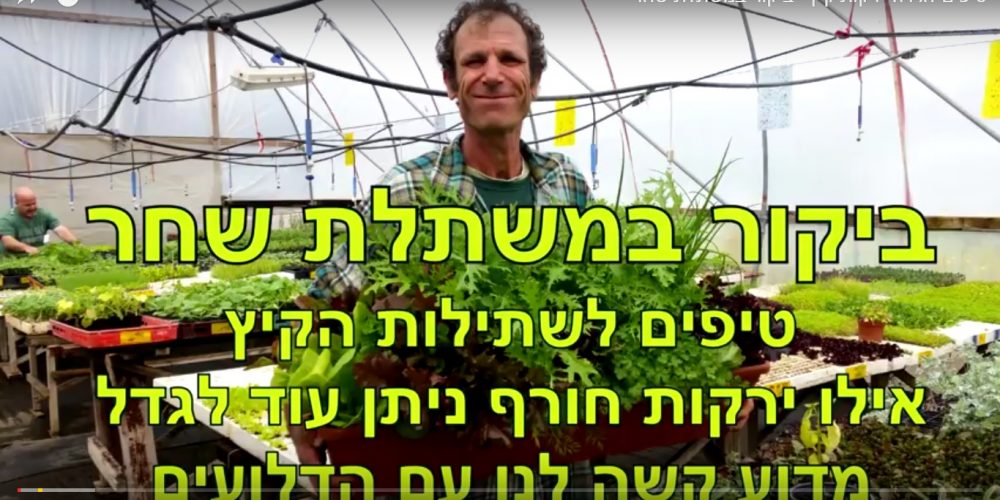 רם שחר 2
