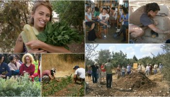 תמונות משולבות מהחווה תמונות משולבות מהחווה